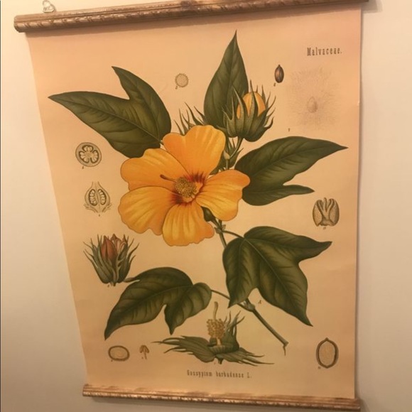 Flowers printed on canvas & scrolled - Picture 4 of 5